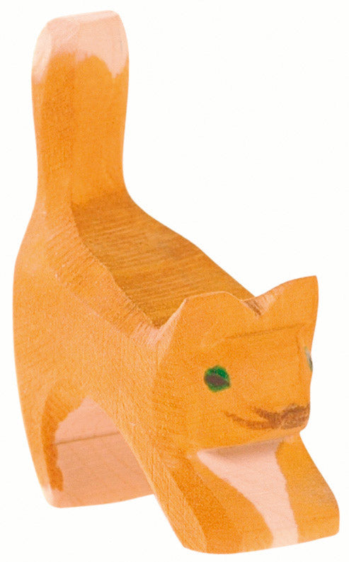 Katze klein Kopf tief