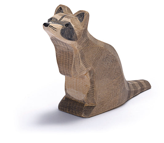 Waschbär sitzend
