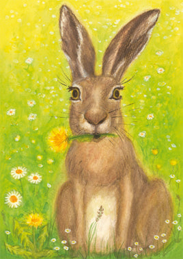 Hase im Grase