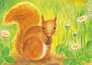Eichhörnchen