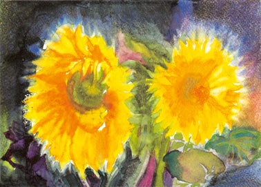 Sonnenblumen