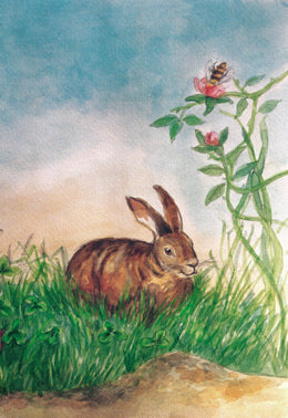 Hase im Gras