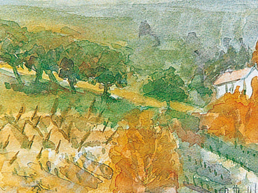 Weinberg im Herbst