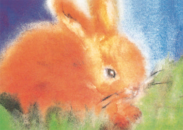 Hase