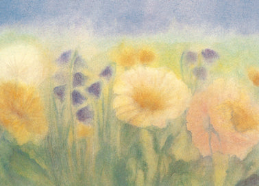 Wiesenblumen