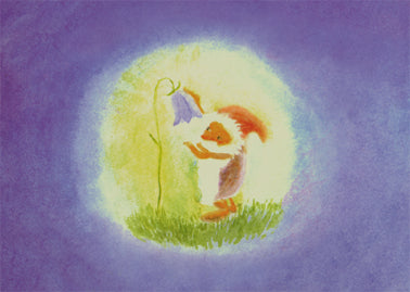 Mit Glockenblume