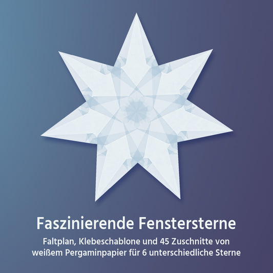 Faszinierende Fenstersterne (Weiß)