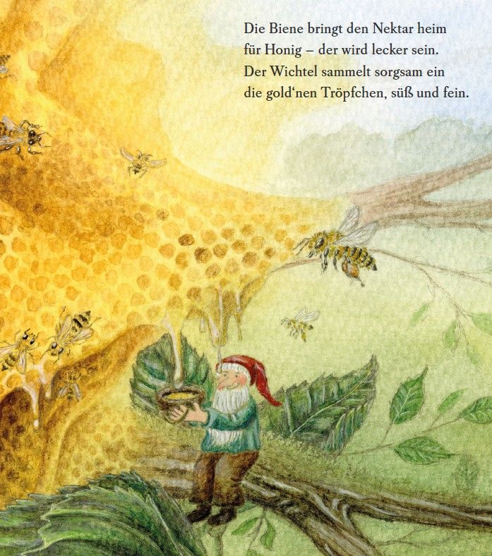 Es wird Sommer im Wichtelwald     Pappbilderbuch