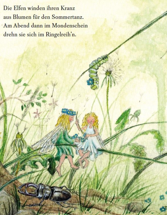 Es wird Sommer im Wichtelwald     Pappbilderbuch