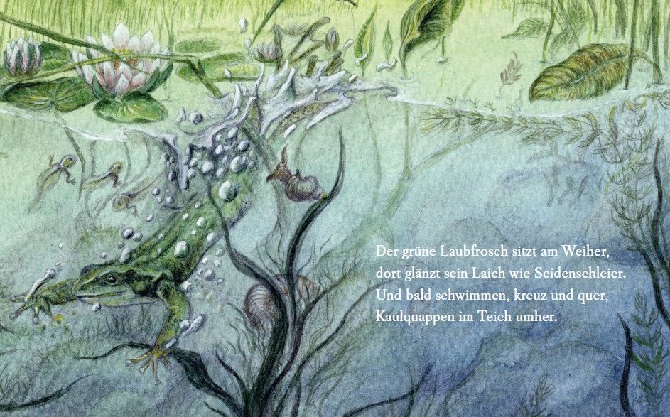 Es wird Sommer im Wichtelwald     Pappbilderbuch