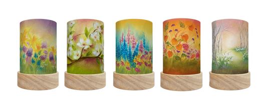 Toverlux Schirme-Set  Baukje Exler  "Seasons"